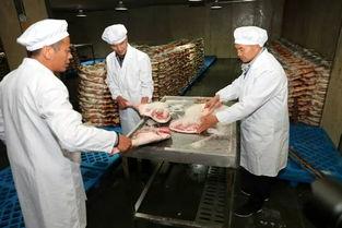 火腿肠生产视频,从原料到成品的全过程展示