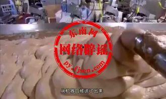 火腿肠生产视频,从原料到成品的全过程展示