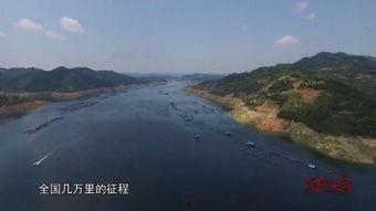 钓鱼视频筏钓,跟随钓鱼视频探索水上垂钓新境界