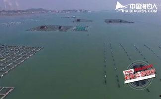 钓鱼视频筏钓,跟随钓鱼视频探索水上垂钓新境界