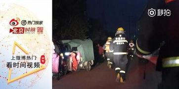 捂豆子视频,揭秘豆子捂热背后的趣味与智慧