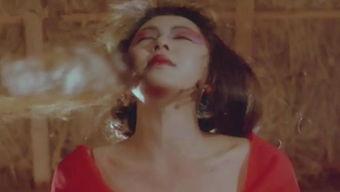 捂豆子视频,揭秘豆子捂热背后的趣味与智慧