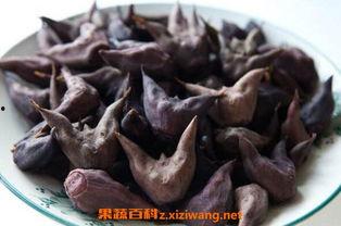 菱角怎么剥壳视频,视频教学助你一臂之力