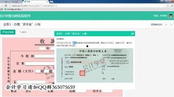 出纳教学视频,出纳实务操作教学视频精华概述