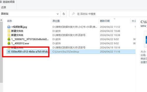 恢复原来的视频,原视频内容深度概述