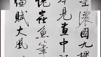 书法视频启功,传承与创新之路